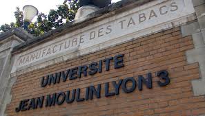 Logo Université Jean Moulin Lyon 3 - Facutté de Droit - Institut Droit et Culture